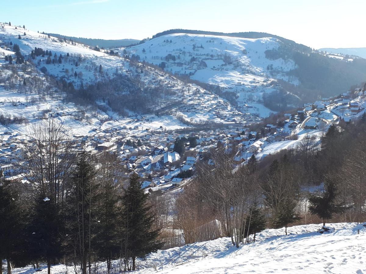 Studio Le Panorama La Bresse Kültér fotó