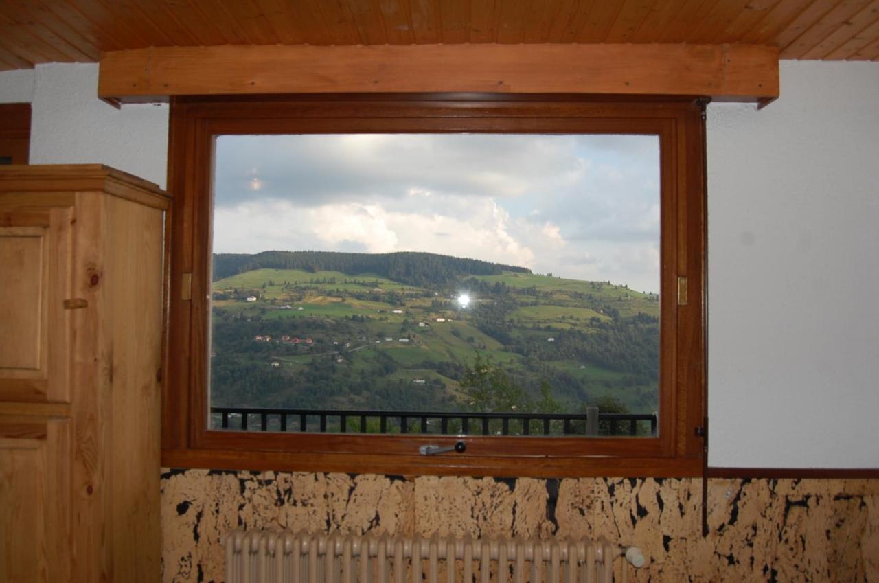 Studio Le Panorama La Bresse Kültér fotó